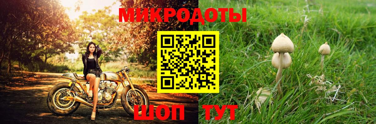 Галлюциногенные грибы MAGIC MUSHROOMS Губкинский