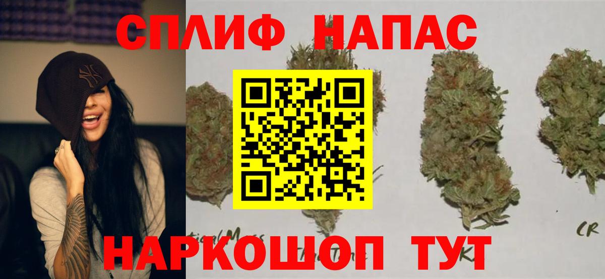 Бошки Шишки ГИДРОПОН Губкинский